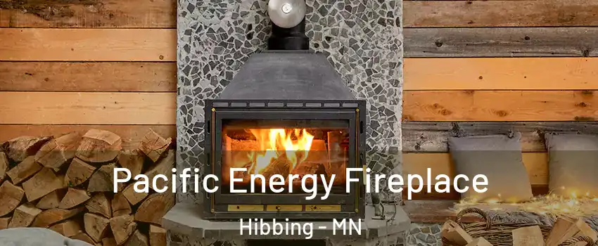 Pacific Energy Fireplace Hibbing - MN
