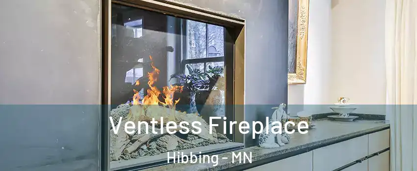  Ventless Fireplace Hibbing - MN